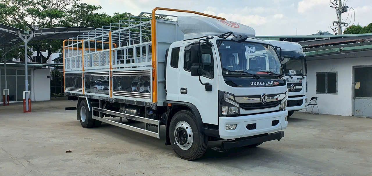 Xe nhập khẩu nguyên chiếc - Tải trọng cho phép 9T1