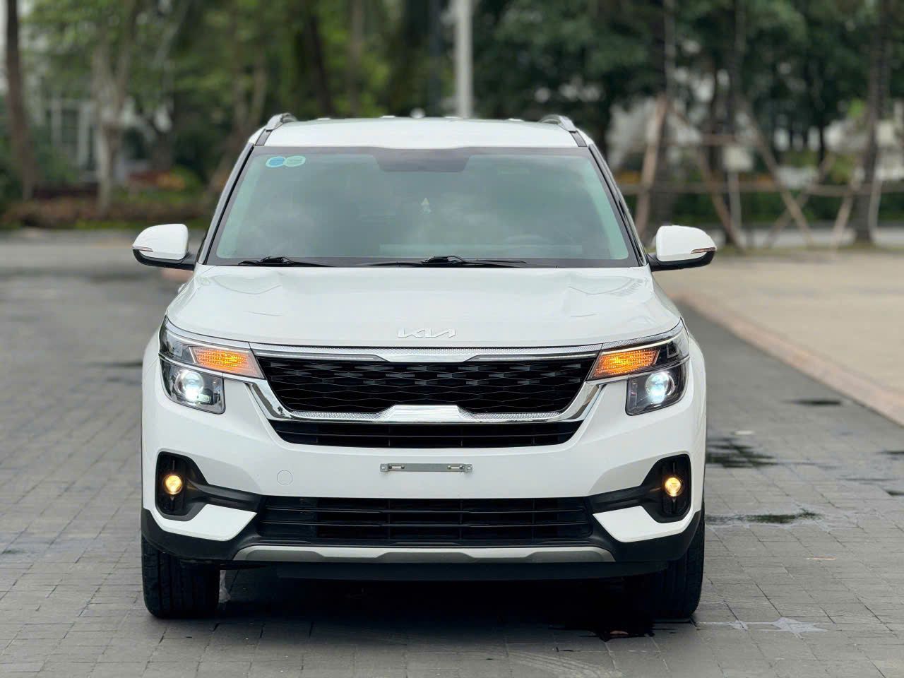 KIA Seltos 1.4 Turbo - Sản xuất 2023